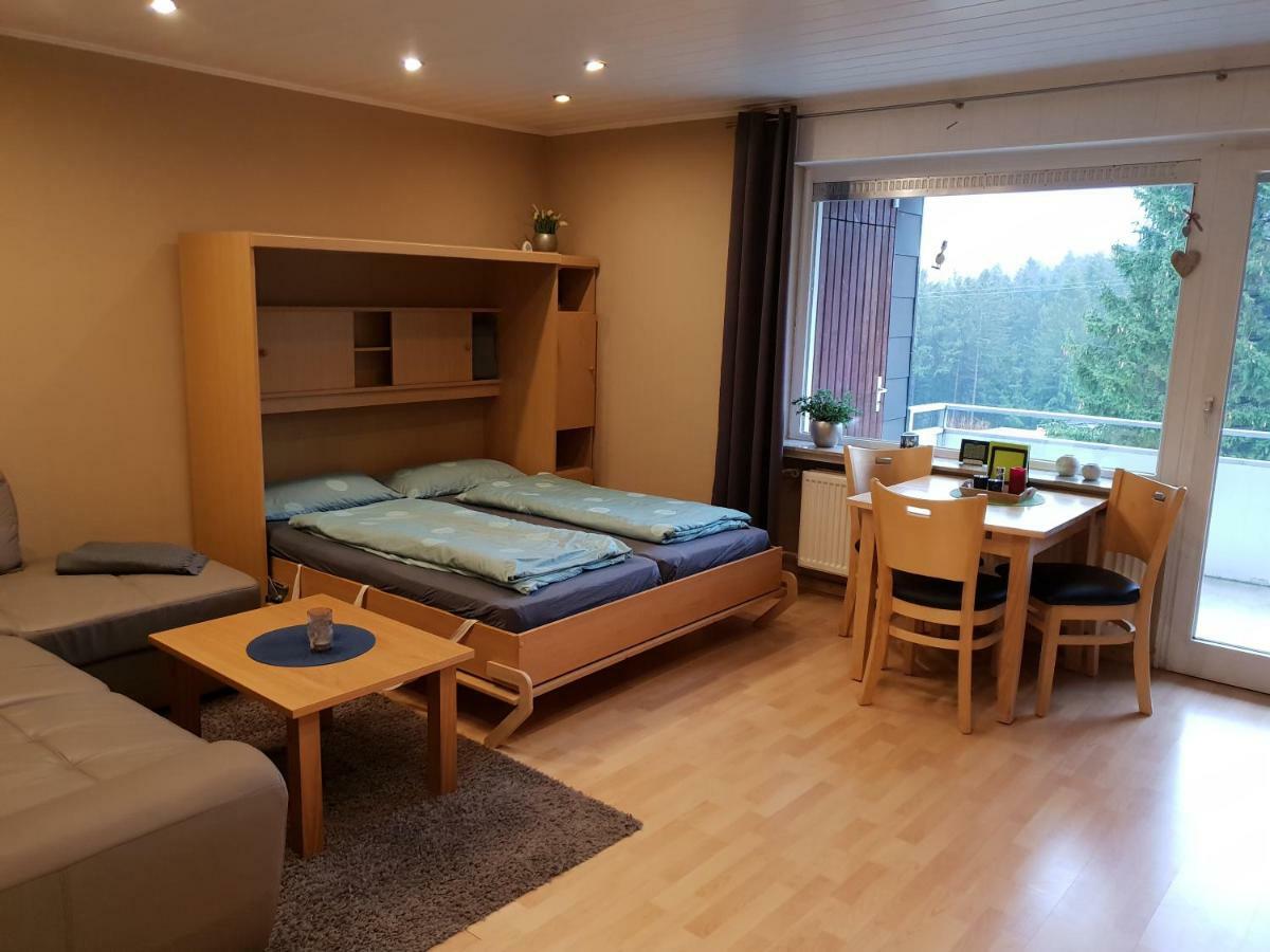 Singer Am Erlebnisbocksberg Appartement Goslar